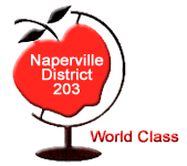 Naperville 203
